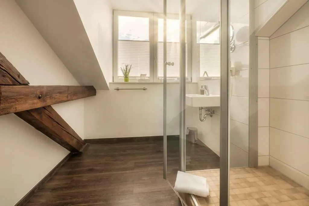 best business bühl - boardinghouse 3*,  Alemania